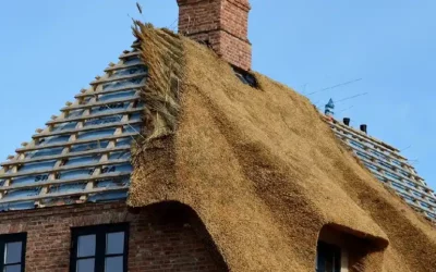 Toiture en chaume : tradition et performance naturelle pour votre maison