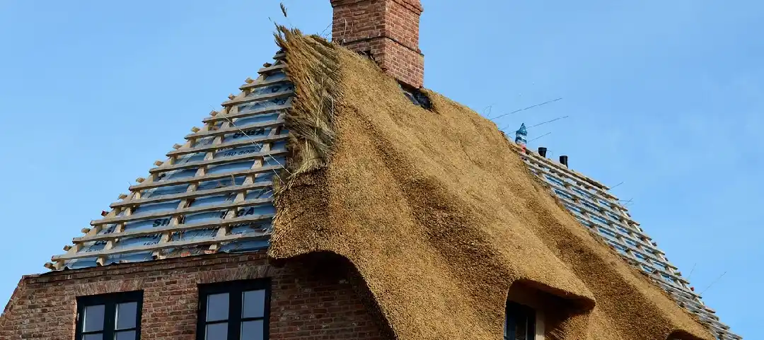 Toiture en chaume : tradition et performance naturelle pour votre maison